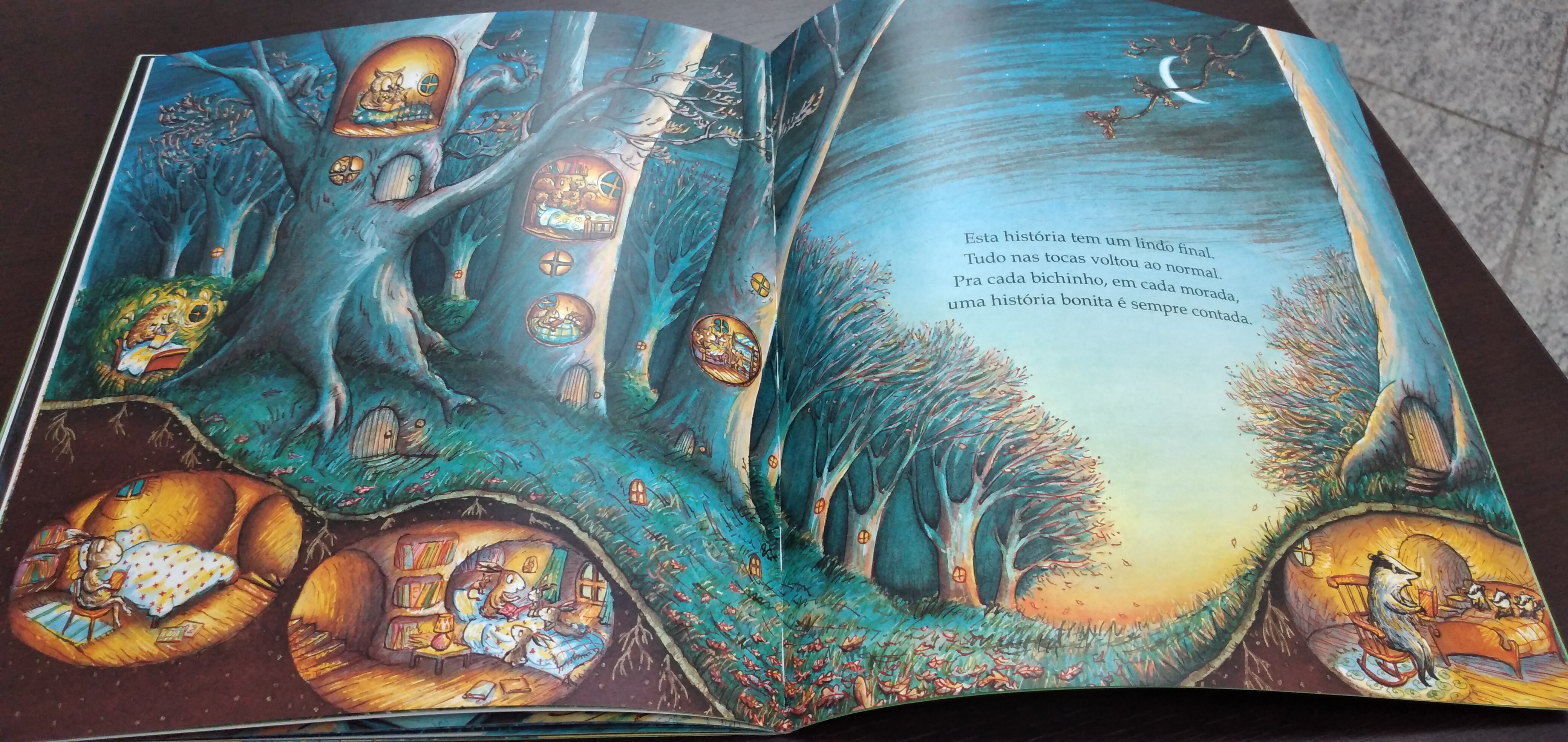 RESENHA: O Rouba-Livros, de Helen Docherty