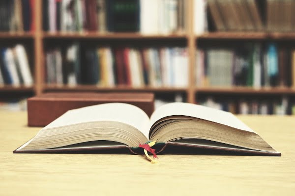 A LITERATURA COMO REPERTÓRIO SOCIOCULTURAL NA REDAÇÃO DO ENEM